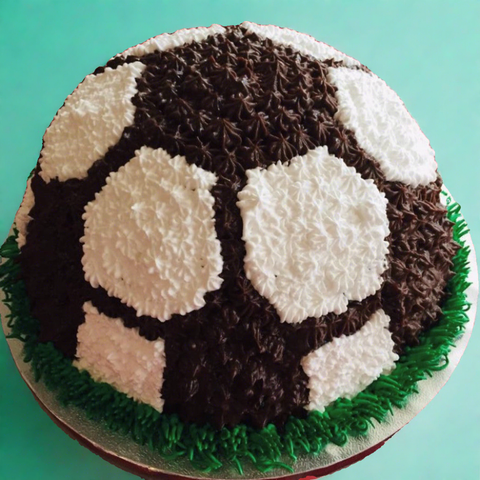Football dome customized cake